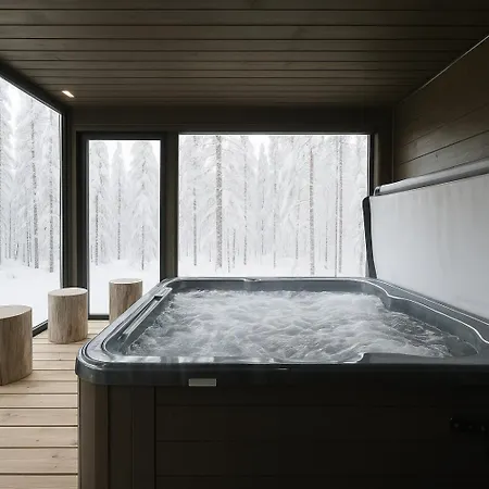 Taruilevi 3 Inc Hot Tub ليفي